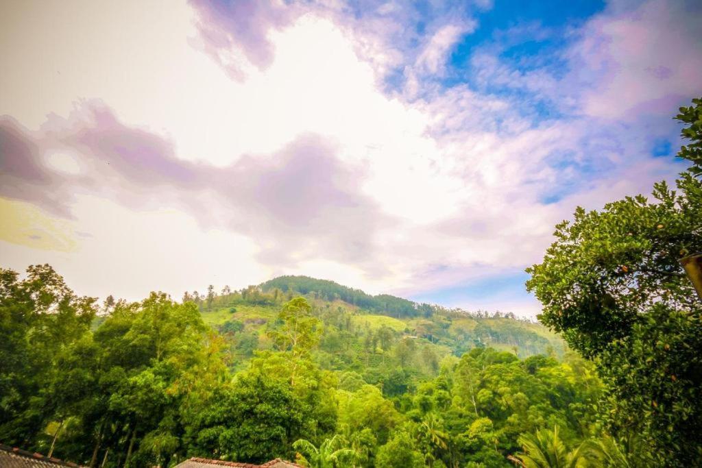 Mount Pleasant Ella Apartment Luaran gambar